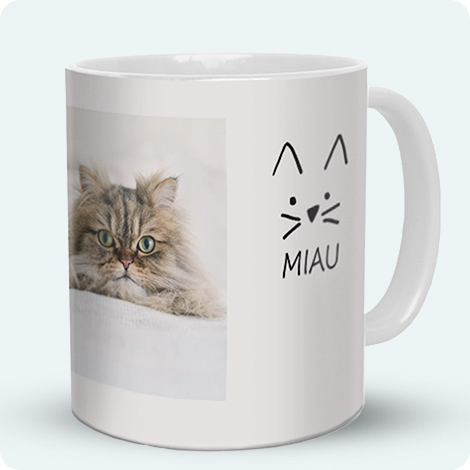 Animal de Compagnie